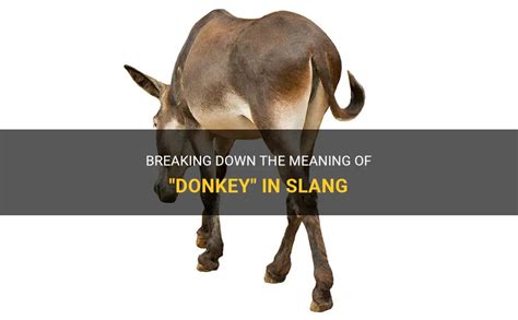 donkey punch slang|What Does the Term ‘Donkey Punch’ Mean and How Is It .